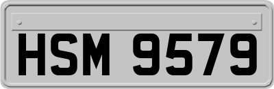 HSM9579