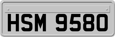 HSM9580