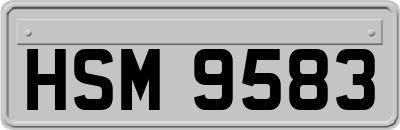 HSM9583