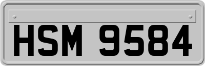 HSM9584