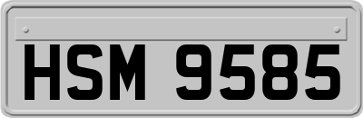 HSM9585