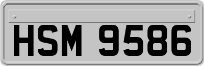 HSM9586