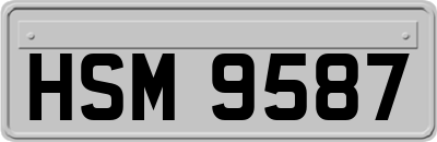 HSM9587