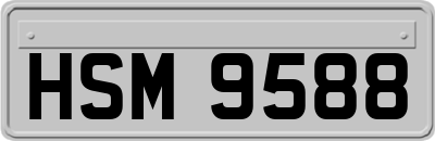 HSM9588