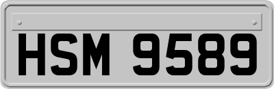 HSM9589