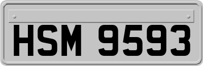 HSM9593