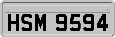 HSM9594