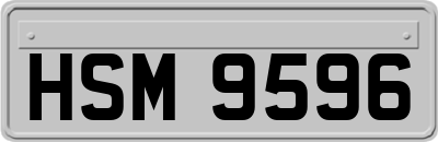 HSM9596