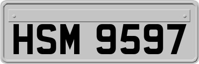 HSM9597