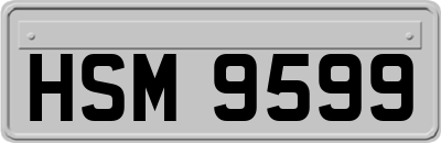 HSM9599