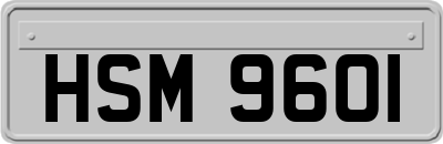 HSM9601