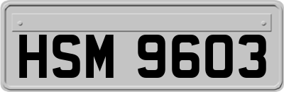 HSM9603
