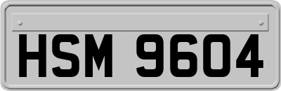 HSM9604