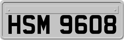 HSM9608