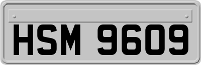 HSM9609