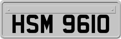 HSM9610