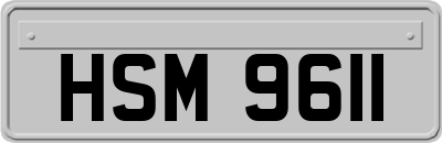 HSM9611