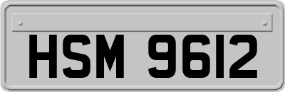 HSM9612