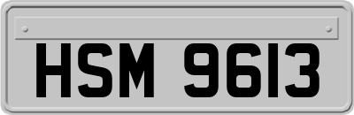 HSM9613