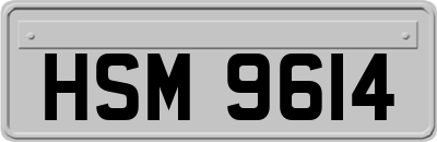 HSM9614