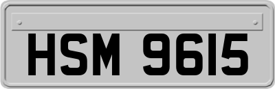 HSM9615