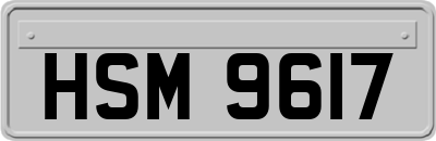 HSM9617