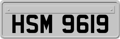 HSM9619