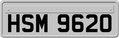 HSM9620