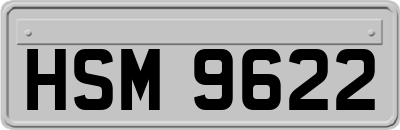 HSM9622