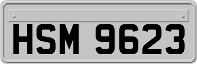 HSM9623