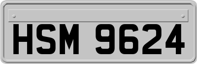HSM9624