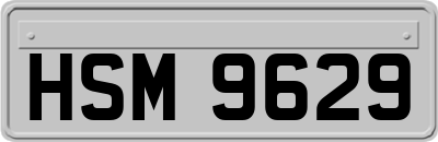 HSM9629