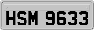 HSM9633