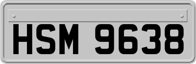 HSM9638