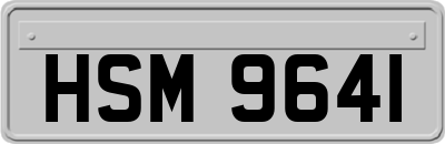 HSM9641