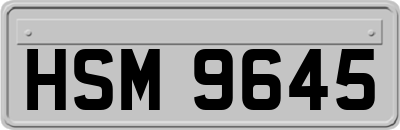 HSM9645