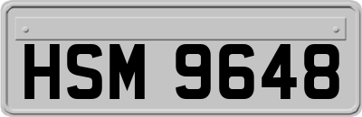HSM9648