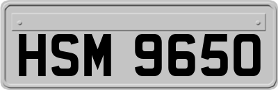HSM9650