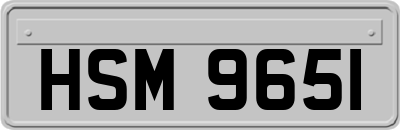 HSM9651