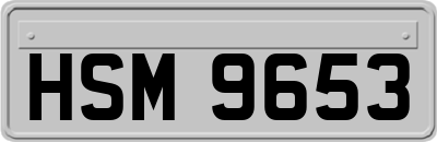 HSM9653