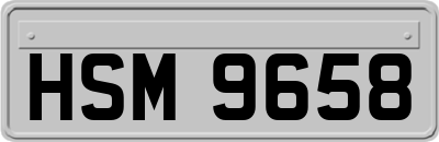 HSM9658