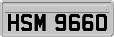 HSM9660
