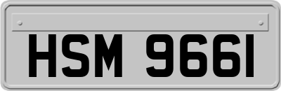 HSM9661