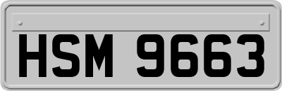 HSM9663