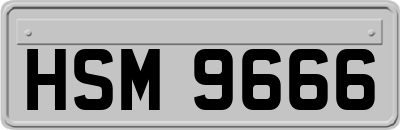 HSM9666