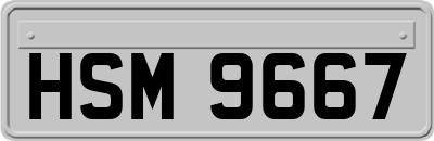 HSM9667