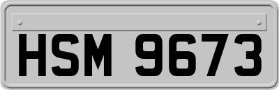 HSM9673