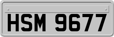 HSM9677