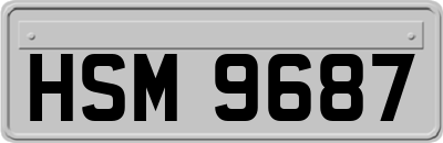 HSM9687
