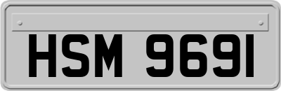 HSM9691